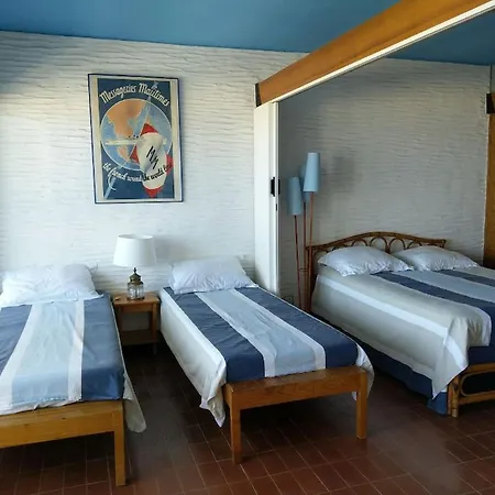 Superbe Face A La A St Cyprien Apartment Saint-Cyprien (Pyrenees-Orientales)
